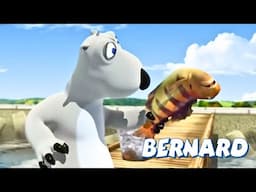 🐻‍❄️ Bernard’s Big Catch! 😱 Will He Eat the Fish?! | Full Episodes | VIDEOS and CARTOONS FOR KIDS