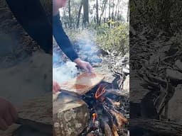 Cooking Deer Meat On A Stone #survival #cooking