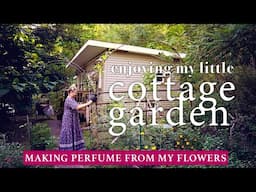 Enjoying my cottage garden + making perfume from my flowers (Story84)