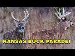 TWO GIANT KANSAS BUCKS!! (Shots Fired at 10 Yards)