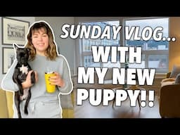 Sunday vlog with my new puppy Zara!!