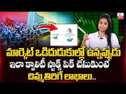 Madhavi reddy - How to Find High Quality stocks || Stocks To Buy in Market Crash || SumanTV Money