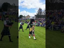 #drummajor leads Huntly #pipeband #marchingband playing Cullen Bay at 2024 #dufftown Games #shorts