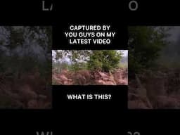 WTF WAS THIS? SPOTTED BY SUBSCRIBERS #bigfoot #creepyexperiences #weirdvideos