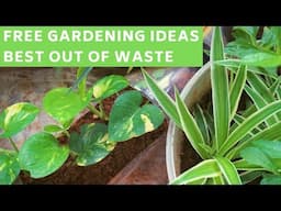 Start Gardening for FREE | Best out of Waste Ideas in Hindi | DIY Natural Fertilizer || Bhawna Ahuja