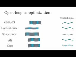 DiffAqua: A Differentiable Computational Design Pipeline for Soft Underwater Swimmers