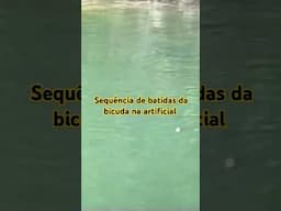 Sequência de batidas da bicuda na isca artificial #pescaria #fishing #bicuda