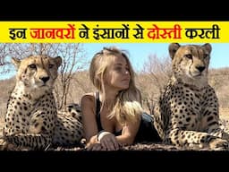 खतरनाक जानवरों का Friendly अंदाज | Friendly Style of Dangerous Animals