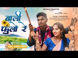 Baliphulo Re ||  बालीफुलो रे || Full Video 2024 || Halbi Song || KBR Music Production