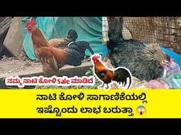 ನಮ್ಮ ನಾಟಿ ಕೋಳಿ Sale ಮಾಡಿದೆ | ಎಷ್ಟು ದುಡ್ಡು ಸಿಕ್ಕಿತು ನೋಡಿ | ನಾಟಿ ಕೋಳಿ ಸಾಗಾಣಿಕೆಯಲ್ಲಿ ಇಷ್ಟೊಂದು ಲಾಭ 😱