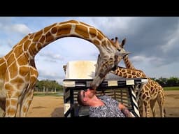 The Moment a Giraffe Eats My Face! 😮 🇹🇭