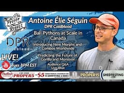 Growing a Ball Python Empire with Antoine Séguin of DPR Coldblood