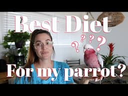 What is the Best Diet for Your Parrot | The Great Pellet Debate