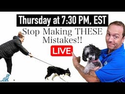 5 COMMON Training Mistakes That New Dog Owners Make!