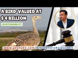 A Bird worth $4 Billion | Solar | Fundamental Right | #Sustainability #ClimateChange | Biodiversity