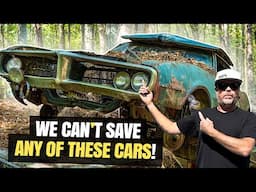 MUSCLECARS LEFT FOR DEAD IN THE WOODS AND THE OWNER WON'T SELL!