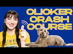 Professional Dog Trainer Explains Clicker Training | Clicker Crash Course