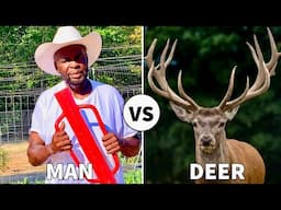 Keep Deer Out Of Your Garden! Wired Deer Fence Tour.