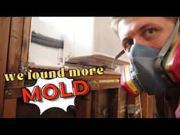 We Found More MOLD | Calico Cow Acres Homestead