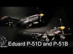 Eduard 1/48 P-51D and P-51B | Full Build Video