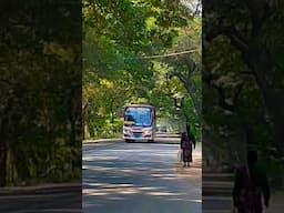 #hyundaibus #volvobus #bussid #hanifbuslover #hanifvshanif