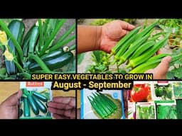 August September Vegetables To Grow In Pots |  अभी ये बीज लगाओ, सर्दियों में आएंगी ढेर सारी सब्जियां