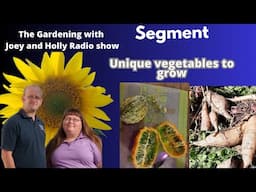 Seg 1 S8E35 unique vegetable to grow The Gardening with Joey and Holly Radio Show