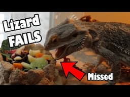 Lizard Fail Compilation