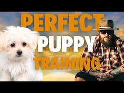 How To Train YOUR Puppy PERFECTLY!