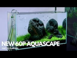 New 60P Aquascape! Part 2 - Planting