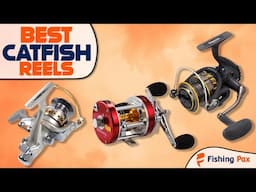 Best Catfish Reels (Catch Big River Catfish With These Top Models!)