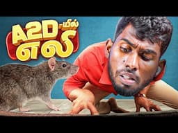 பொறி வெச்சா எலி விழனும் 🔥 - Rat Hunt at A2D Office 🐀