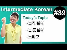 [Learn Korean I３９] ”-는가 싶다”, ”-는 듯싶다”, ”-느라고”