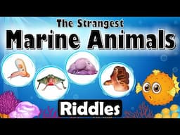 Guess the Strangest Marine Animals – Quiz for Kids! | Can You Name The Ten Bizarre Marine Creatures?