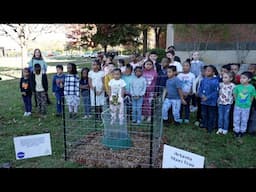 Hazelwood Elementary School – Moon Tree