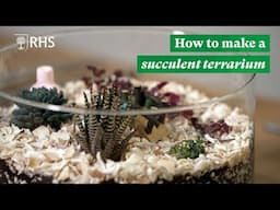 How to make a succulent terrarium | The RHS