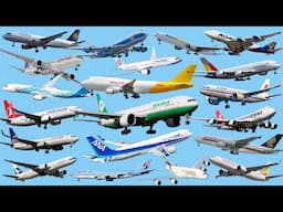 Top 20 Airlines Dominating the Cargo Industry in 2024!