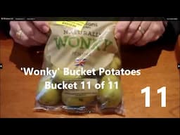 11.Grow Potatoes. 'Wonky' Bucket Potatoes. Trial Bucket 11 of 11. Amazing total weight returned.