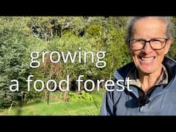 Growing A Food Forest with Chop and Drop Mulching