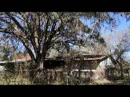 Old Florida Ranch