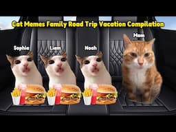 Cat Memes Family Road Trip Vacation Compilation