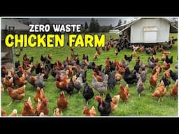 Zero-waste Chicken Farming