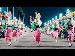 Japan's Traditional Dance Festival Awa Odori | 2024 Awaodori in Tokushima