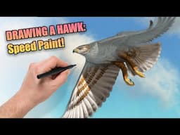 🍿 Ferruginous Hawk Speed Paint | #timelapse #howto