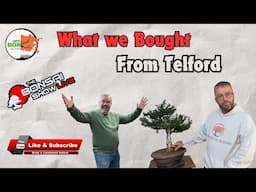 Lets Do Houghton Bonsai: What We Bought From The Bonsai Live