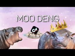 Charming Moo Deng Take OVER  Khao Kheow open ZOO [4K] Walking Tour. Thailand 2024.