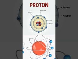 The positively charged particles that power the atom! 💥⚛️ #science  #atoms #proton  #physics #stem