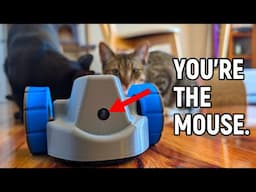 The ULTIMATE cat and mouse game!