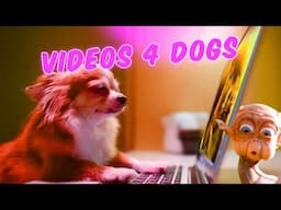 Internet Comment Etiquette: "Videos for Dogs"