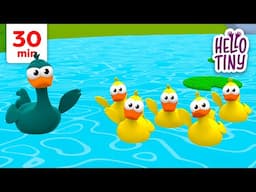 Five Little Ducks 🐥 | Kids Songs and Nursery Rhymes | Hello Tiny